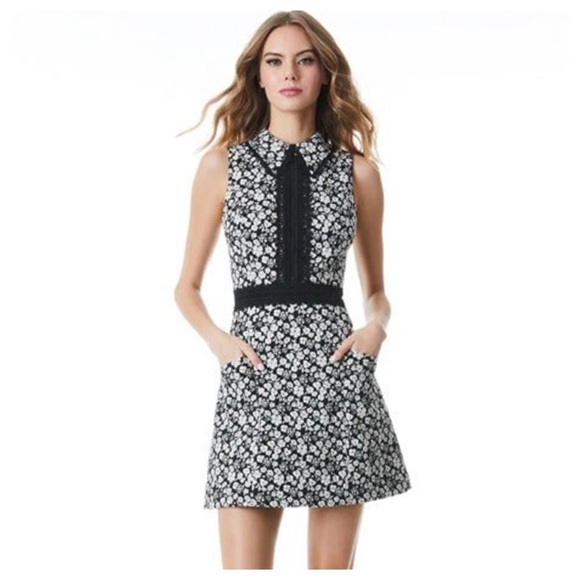 ALICE + OLIVIA Ellis Dress - Picture 4 of 14